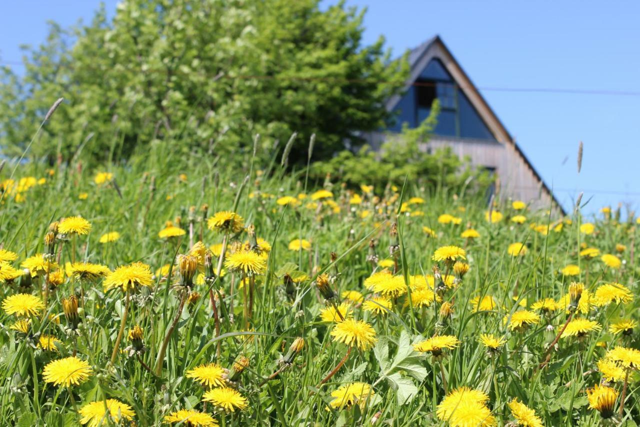 Ferienhaus Zinnwald Altenberg ภายนอก รูปภาพ